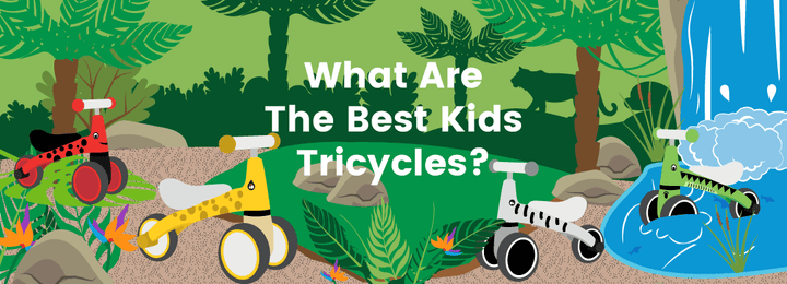 What Are The Best Kids Tricycles?